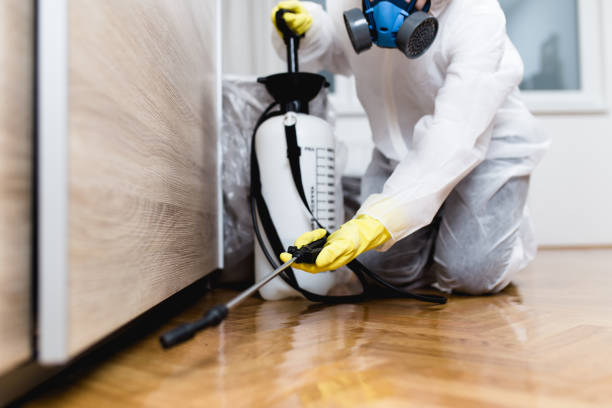 Best Mosquito Control Services  in Port Allegany, PA