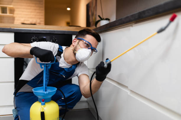 Best Best Pest Control Companies  in Port Allegany, PA