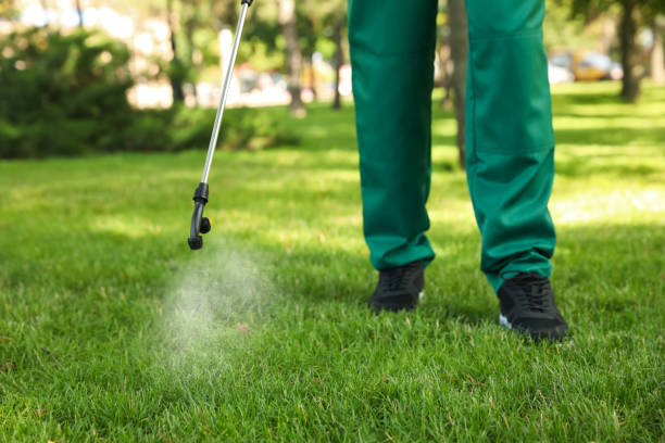 Best Commercial Pest Control Services  in Port Allegany, PA