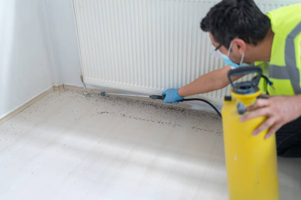Best Local Pest Control Services  in Port Allegany, PA